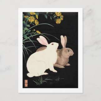 Cartão Postal Dois coelhos à noite