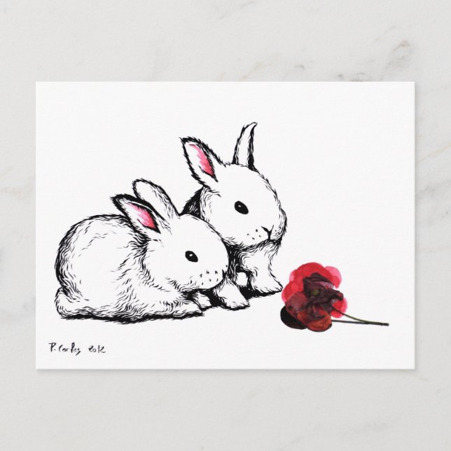 Cartão Postal Dois coelhos brancos pequenos (Frente)