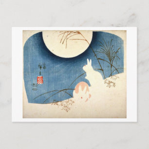 Cartão Postal Dois coelhos na grama Pampas