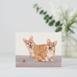 Cartão Postal Dois Corgis Fofos
