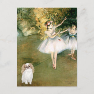 Cartão Postal Dois Dançarinos - Japanese Chin (L1)