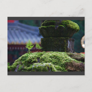 Cartão Postal Dois Fern