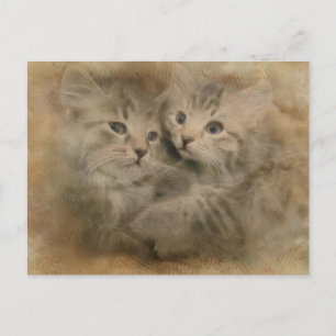 Cartão Postal Dois Gatinhos De Cinza Cortada Em Aquarela