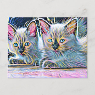Cartão Postal Dois gatinhos de ragdolas