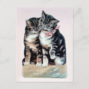 Cartão Postal dois gatinhos gatos fofos amor adoráveis amorosos 