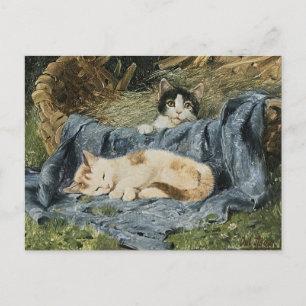 Cartão Postal Dois Gatinhos   Julius Adam, o Jovem