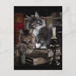 Cartão Postal Dois gatinhos Maine Coon fofos