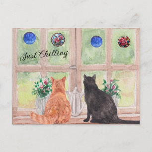 CARTÃO POSTAL Dois Gatos na Janela Flores Serenas