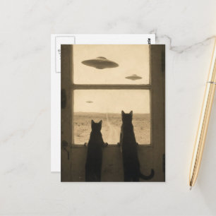 Cartão Postal Dois Gatos na Porta e OVNIs