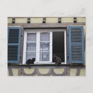 Cartão Postal Dois Gatos Pretos na Janela