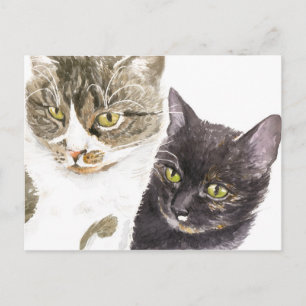 Cartão Postal Dois gatos - tabby e tortie