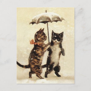 Cartão Postal Dois Gatos Um Guarda-chuva