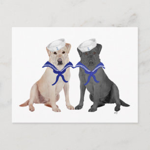 Cartão Postal Dois Labradores Retrievers