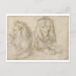 Cartão Postal Dois leões sentados por Albrecht Durer