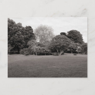 Cartão Postal Dois para a alegria (preto e branco com tona quent