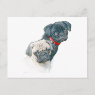Cartão Postal Dois Pugs