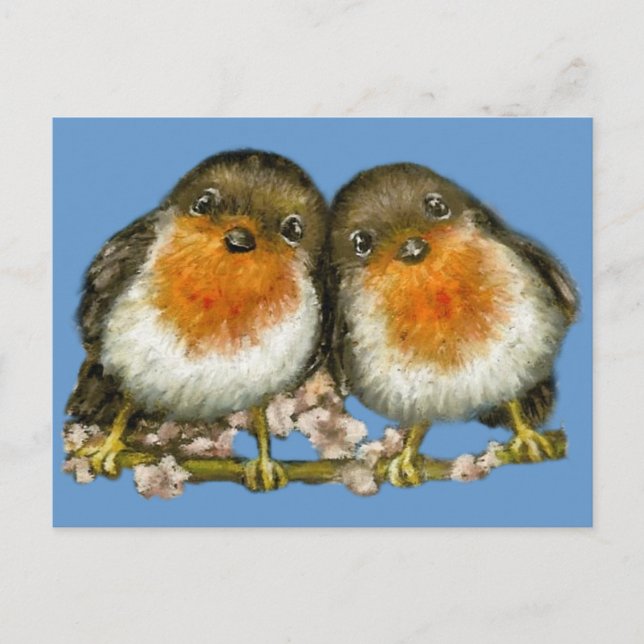 Cartão Postal dois robins (Frente)