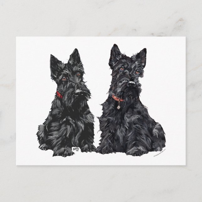 Cartão Postal Dois Scottish Terriers Pretos (Frente)