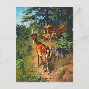 Cartão Postal Dois Veados E Bonitos No Cartão-Postal Da Florest