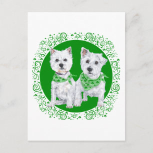 Cartão Postal Dois Westies Sentados no Dia de São Patrício