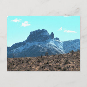 Cartão Postal Dolan Mitten Capped