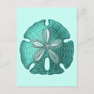 Cartão Postal Dólar de Areia Aqua