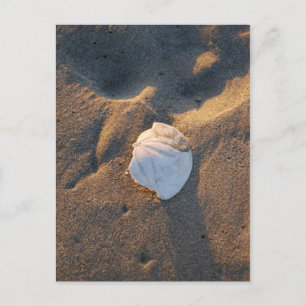Cartão Postal dólar na praia