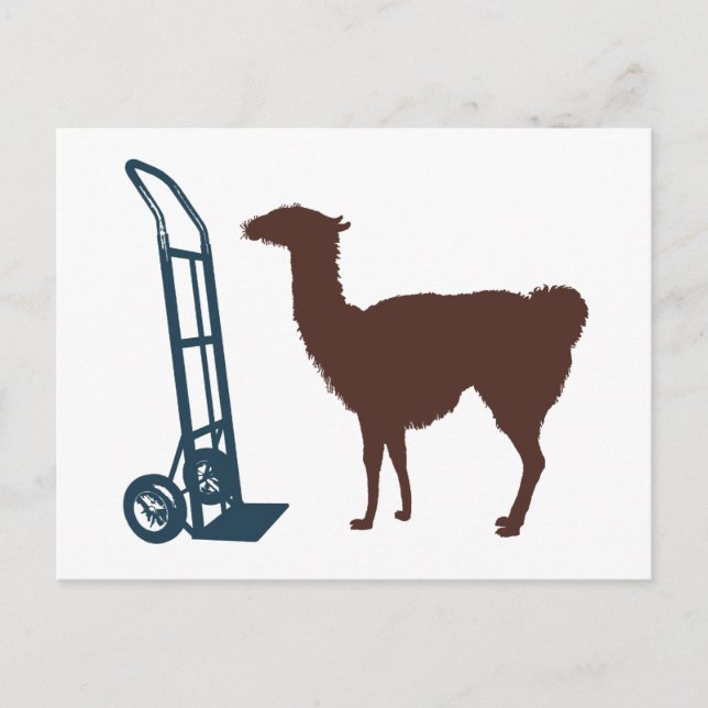Cartão Postal Dolly llama (Frente)