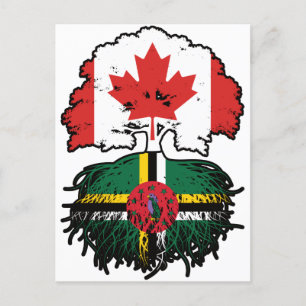 Cartão Postal Dominica Canadense Canada Tree Roots Flag