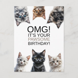 Cartão Postal Dona do Gato Aniversário   Oba! É seu Aniversário 