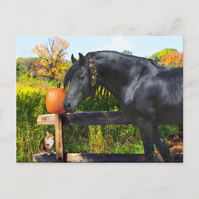 Cartão postal "Donatella" (Frente)