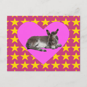 Cartão Postal Donkey com estrelas e corações