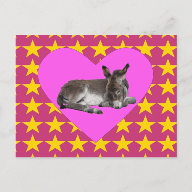 Cartão Postal Donkey com estrelas e corações (Frente)