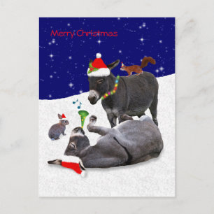 Cartão postal Donkey Daze