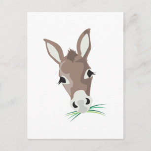 Cartão Postal Donkey Head