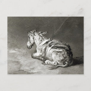 Cartão Postal Donkey no Resto