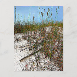 Cartão Postal Dons de arte da Clearwater Beach na Flórida