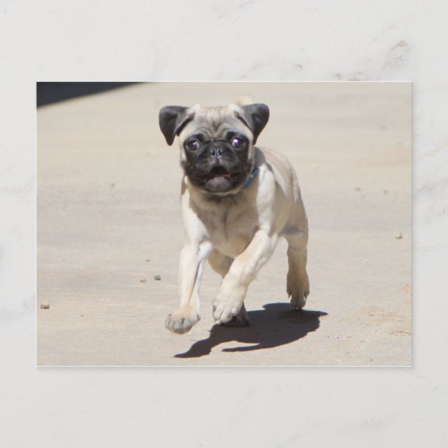 Cartão Postal Doobie Runnin' (Frente)