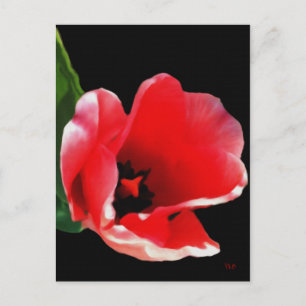 Cartão Postal Dos Cartões-postais Do Jardim