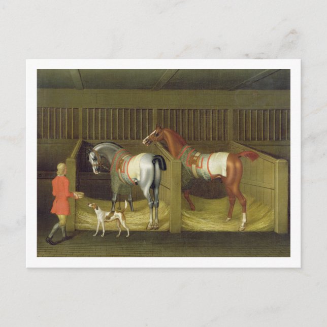 Cartão Postal Dos dois cavalos o belongin Running famoso dos (Frente)