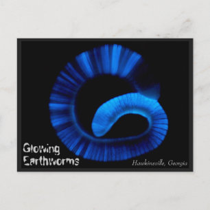 Cartão postal dos EUA Hawkinsville Georgia