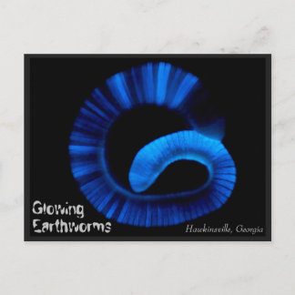 Cartão postal dos EUA Hawkinsville Georgia