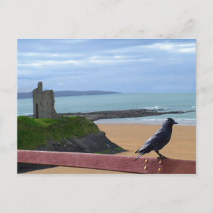 cartão postal dos olhos de aves