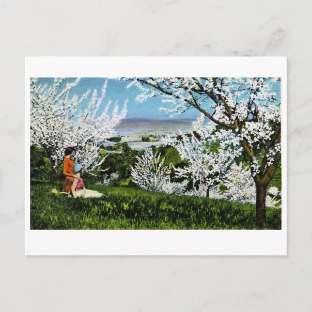 Cartão postal dos Papais noeis Clara Valley (Frente)