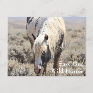 Cartão postal dos picos Thor McCullough