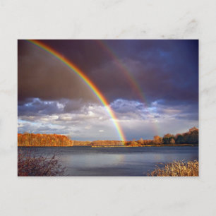 Cartão Postal Double Bows