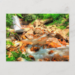 Cartão Postal Douglas Falls, Virgínia Ocidental