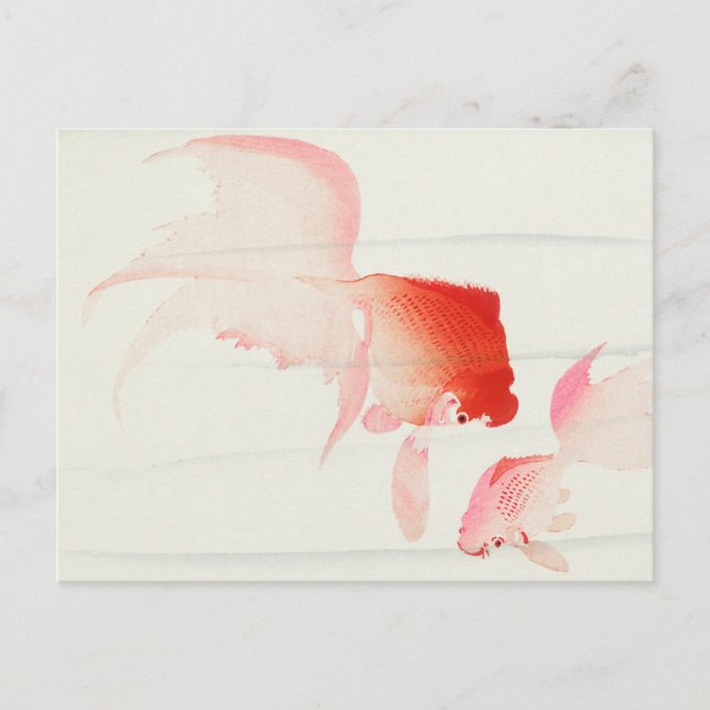 Cartão Postal Dourada pintura de peixe por Ohara Koson (Frente)