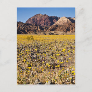 Cartão Postal Dourado Rush