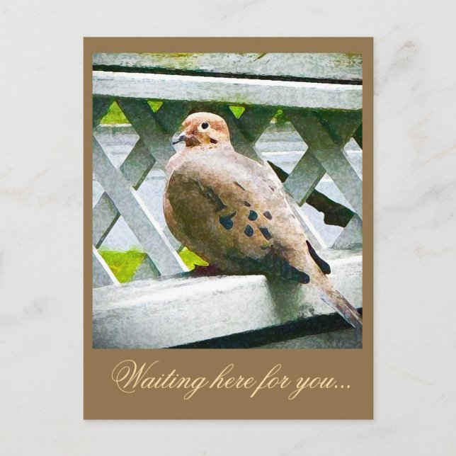 CARTÃO POSTAL " DOVE " (Frente)